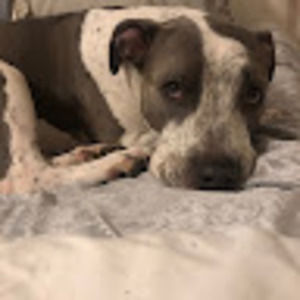 Meet your Posher, Danielle d